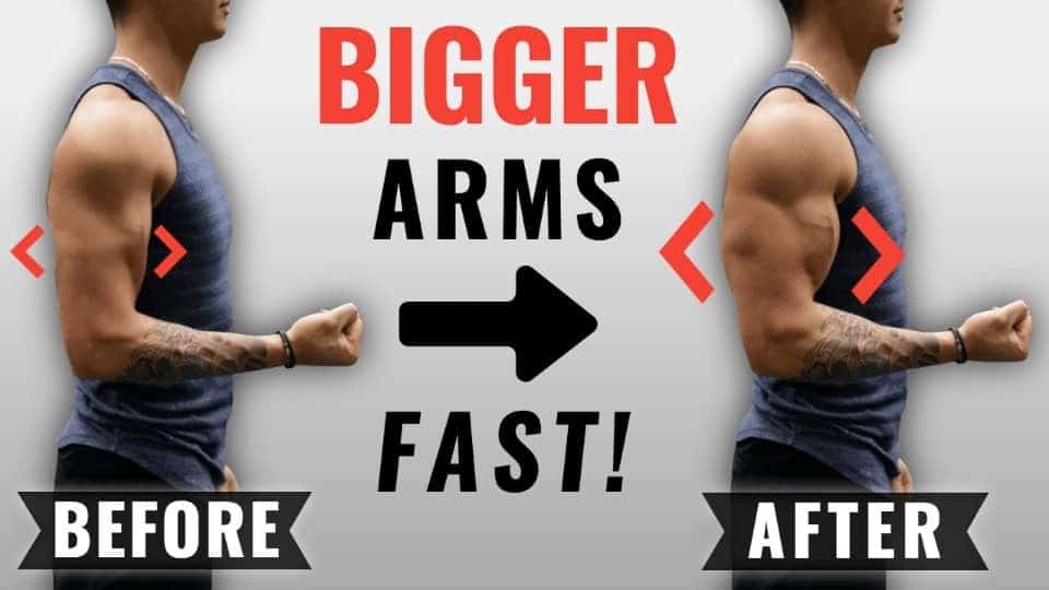 bigger arms fast