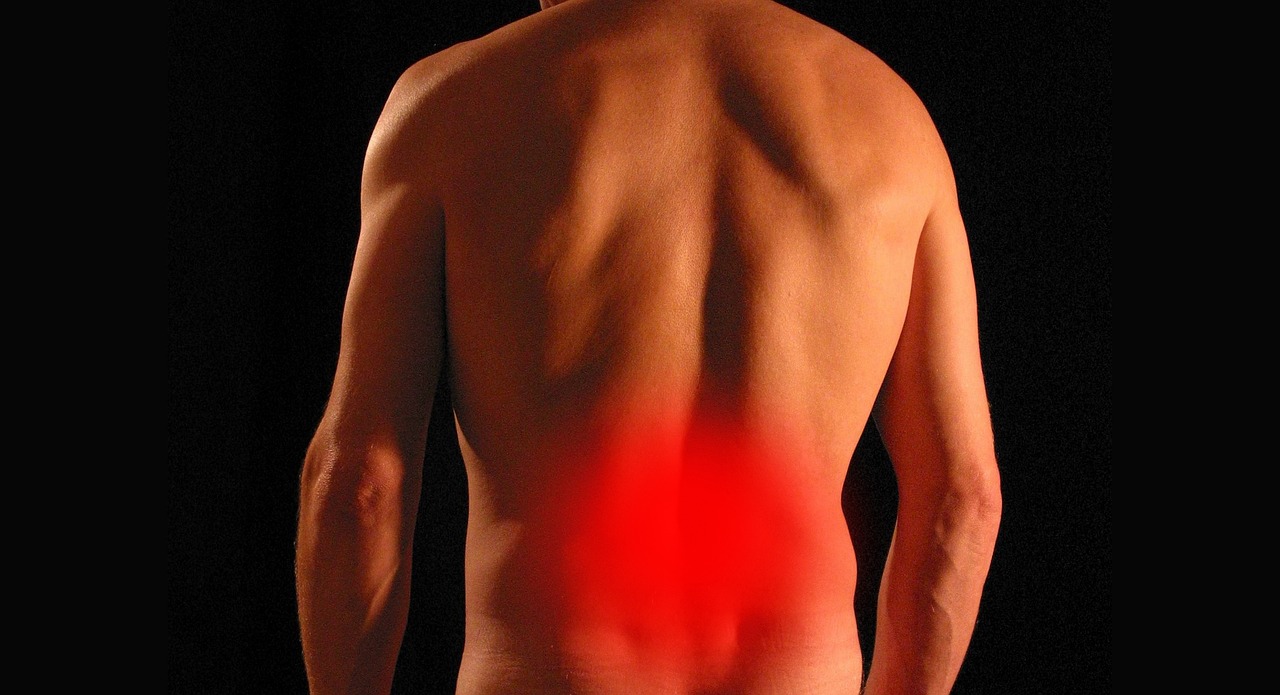 The Road to Recovery A Step-by-Step Plan for Training Around Back Pain